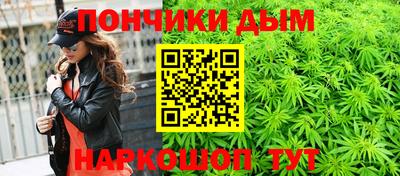 кокс Можга