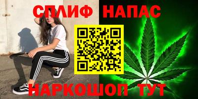 кокс Можга